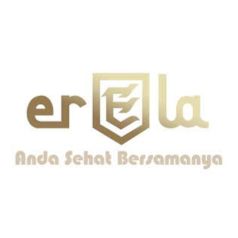 PT Erela