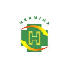 Hermina Hospital Group