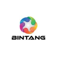 PT Bintang Internasional