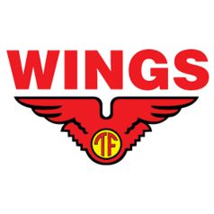 PT Wings Group