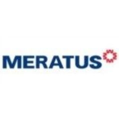 PT. Meratus Line & Group